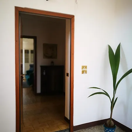 アパート Ortensia - *