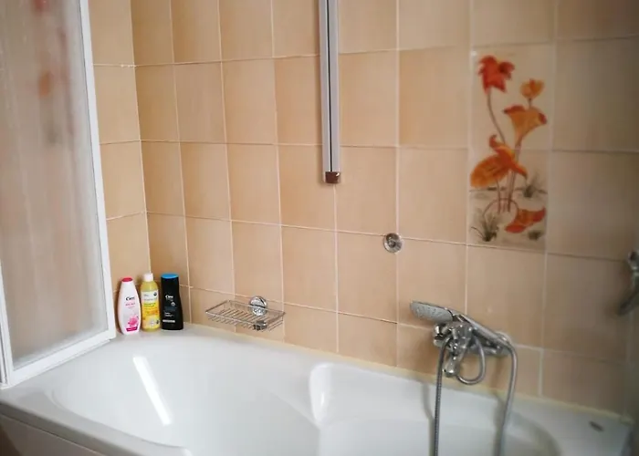 Ortensia - Apartament Meina