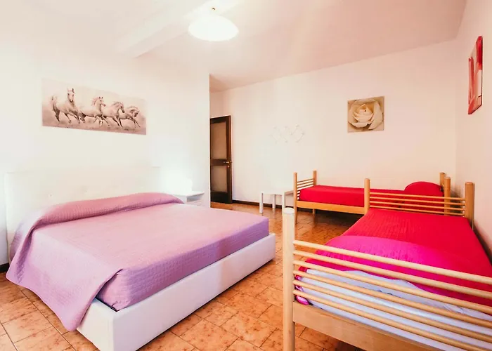 Appartement Ortensia - *